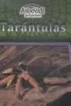 Tarántulas