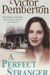 A Perfect Stranger