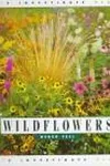 Wildflowers