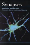 Synapses