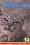 Bobcats
