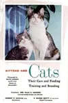 Kittens and cats