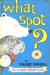 What Spot?
