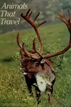Animals that travel