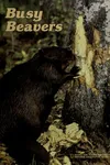 Busy beavers