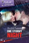 One stormy night