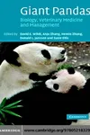 Giant Pandas