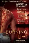 Burning Up
