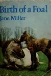 Birth of a foal