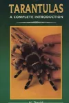 Tarantulas