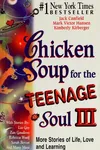 Chicken soup for the teenage soul III