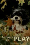 Animals at play