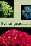 Hydrangeas