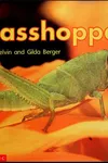 Grasshopper