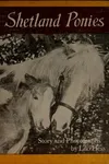 Shetland ponies