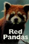 Red pandas