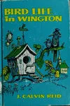 Bird life in Wington