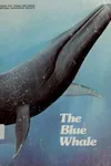 The blue whale