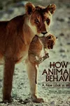 How animals behave