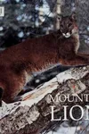 Mountain lions