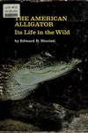 The American alligator