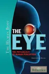 The eye