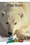 Polar Bears