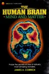 The human brain