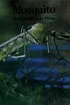 Mosquito