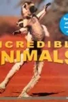 Incredible animals