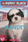 Bandit
