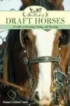 Draft horses