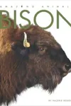 Bison