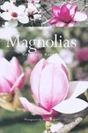 Magnolias