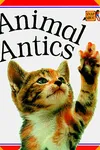 Animal antics