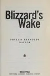 Blizzard's wake