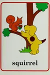 My animal friends