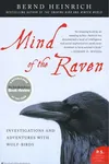 Mind of the Raven