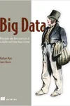 Big Data