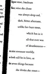 3 Pages