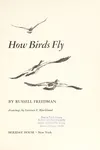 How birds fly