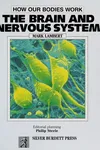 The brain and nervous system