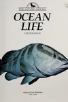 Ocean life