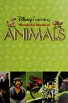 Wonderful world of animals