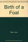 Birth of a foal