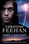 Dark Carousel