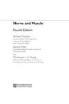 Nerve and muscle