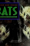 Outside and inside bats