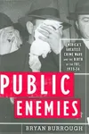 Public Enemies