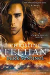 Dark Sentinel